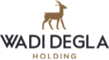 Logo wadi degla clubs