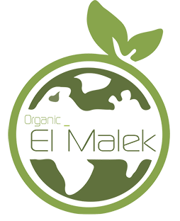 لوجو شركه الملك