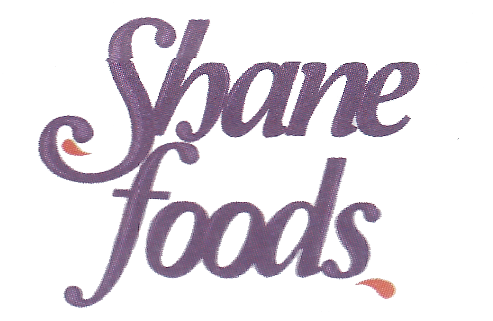 لوجو Shane foods لوجو Shane foods