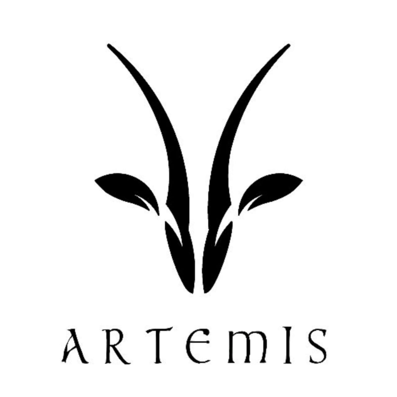 لوجو ارتيمس