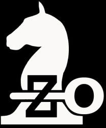 لوجو شركة LEARNING ZONE