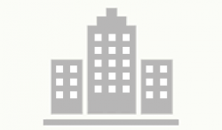 لوجو شركة TECHIE SERVICESUK