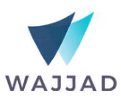 لوجو شركة شركة نصر البركاتي ( وجاد )