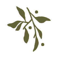 لوجو شركة Beit El-Wadi