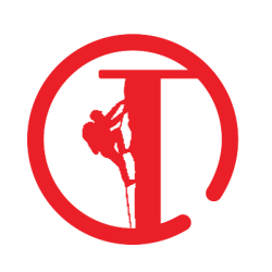 Travel Trails Tours