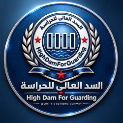شركة السد العالى - High dam company